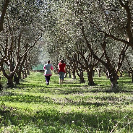 Agriturismo A'Sena-Runcatini Ciminà Eksteriør billede