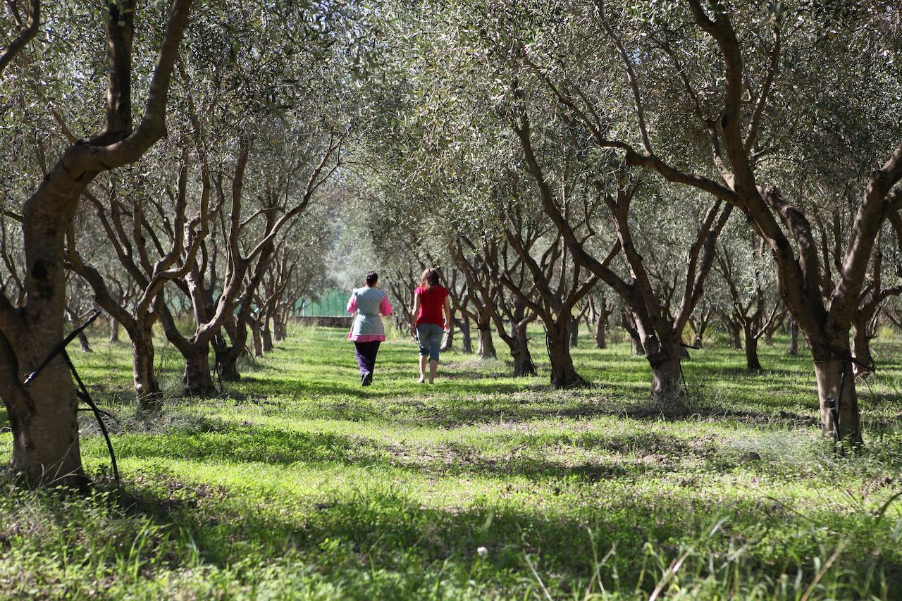 Agriturismo A'Sena-Runcatini Ciminà Eksteriør billede